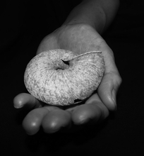 なぜ生き物は変わっていくのか。進化の謎を解き明かす旅の終わりに見たものは？