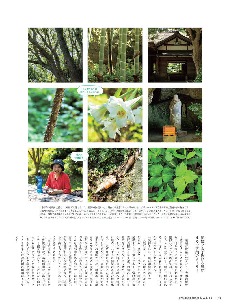 【サステナブルな神奈川】人生観を変えるような人、場所、自然……を体験しに神奈川へ！