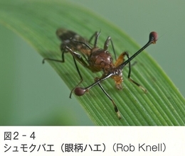 生物は、なぜ進化するのか？　生命40億年の冒険が始まる！【進化論講義】