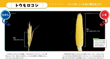 人類の力を感じる写真絵本──こんなに変わった！野菜とくだもの、「むかし」と「いま」