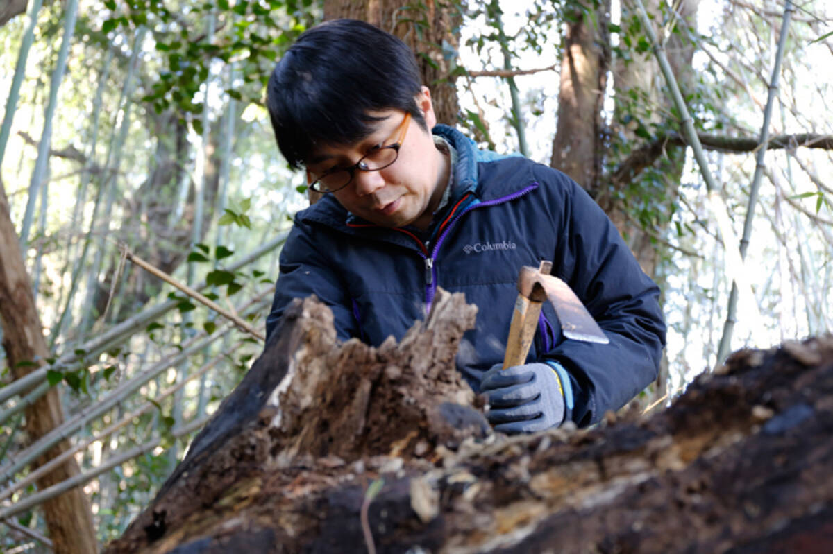 マイマイカブリの気持ちになって考えてみた 虫を見つける特殊技能とは 16年10月1日 エキサイトニュース 3 6