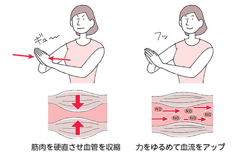 血圧は薬で下げずに１分間の体操で！　ノーベル賞理論“ＮＯで血管は若返る”