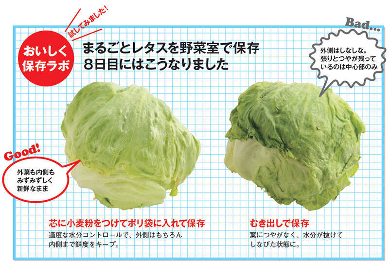 野菜 鮮度キープの秘訣は水分補充 時間とお金も節約できる保存術は何が違う 18年7月19日 エキサイトニュース 2 4