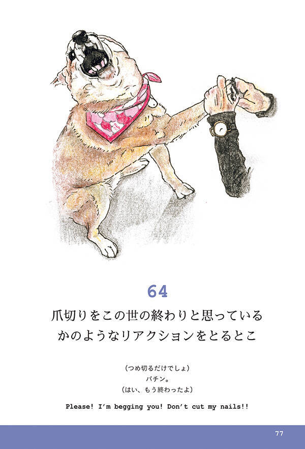 ここ柴部 柴犬のここが好き 愛らしいイラストと言葉に癒やされる柴犬図鑑 19年3月14日 エキサイトニュース 2 4