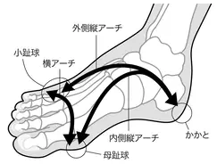 簡単なのに効果絶大 骨たたき体操で若返る 100歳でもジャンプができる 19年10月12日 エキサイトニュース