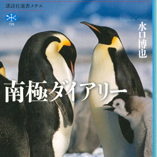 地球最後の秘境 動物の氷の楽園から温暖化を考える 南極ダイアリー 年12月12日 エキサイトニュース 地球最後の秘境 動物の氷の楽園から温暖化を考える 南極ダイアリー 年12月12日 エキサイトニュース