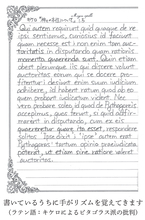 100言語マスター直伝！　どんな言語にも使える、挫折知らずの外国語独習50のルール