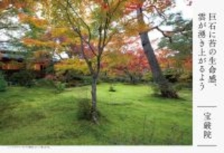 【厳選16庭】京都苔庭コレクション。不思議と深みの世界へ誘う、お庭の名脇役。