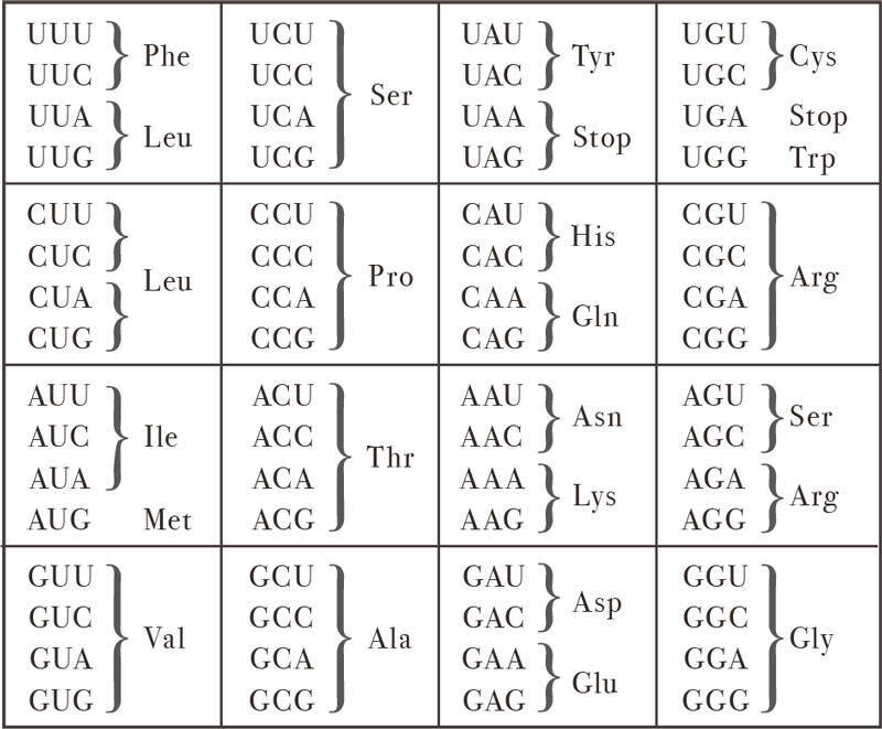 クローン、PCR、ゲノム、iPS細胞……生命とは何かを知るための基本が詰まった1冊！