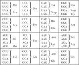 「クローン、PCR、ゲノム、iPS細胞……生命とは何かを知るための基本が詰まった1冊！」の画像2