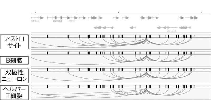 クローン、PCR、ゲノム、iPS細胞……生命とは何かを知るための基本が詰まった1冊！