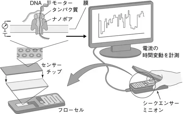 「クローン、PCR、ゲノム、iPS細胞……生命とは何かを知るための基本が詰まった1冊！」の画像