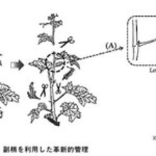 ブドウと発酵によるマリアージュが科学的にわかる。ワインの芳醇な香りと味わいはどのように生まれるのか