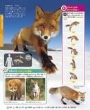「【究極の新図鑑】大迫力の生態写真とイラストで生きものに興味がわく！　動く図鑑MOVE「動物」」の画像1