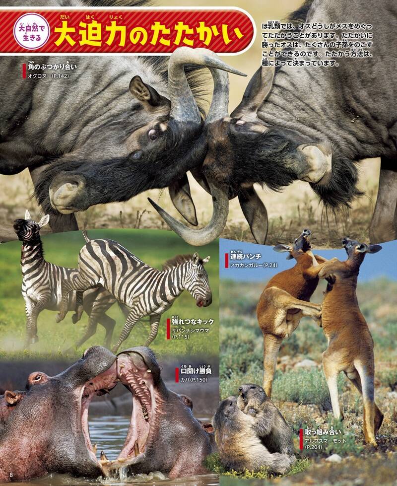 【究極の新図鑑】大迫力の生態写真とイラストで生きものに興味がわく！　動く図鑑MOVE「動物」