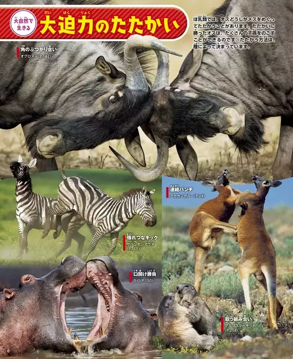 「【究極の新図鑑】大迫力の生態写真とイラストで生きものに興味がわく！　動く図鑑MOVE「動物」」の画像