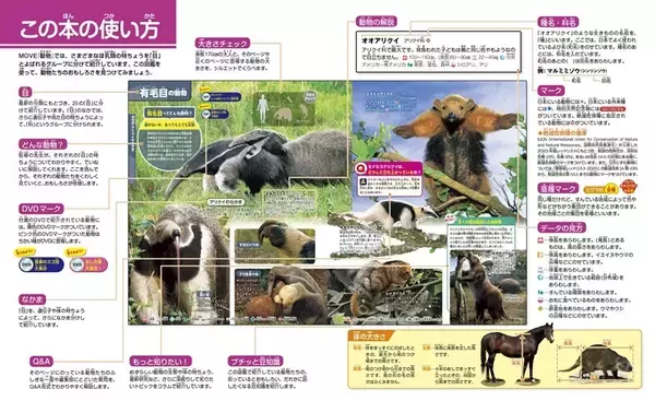 「【究極の新図鑑】大迫力の生態写真とイラストで生きものに興味がわく！　動く図鑑MOVE「動物」」の画像