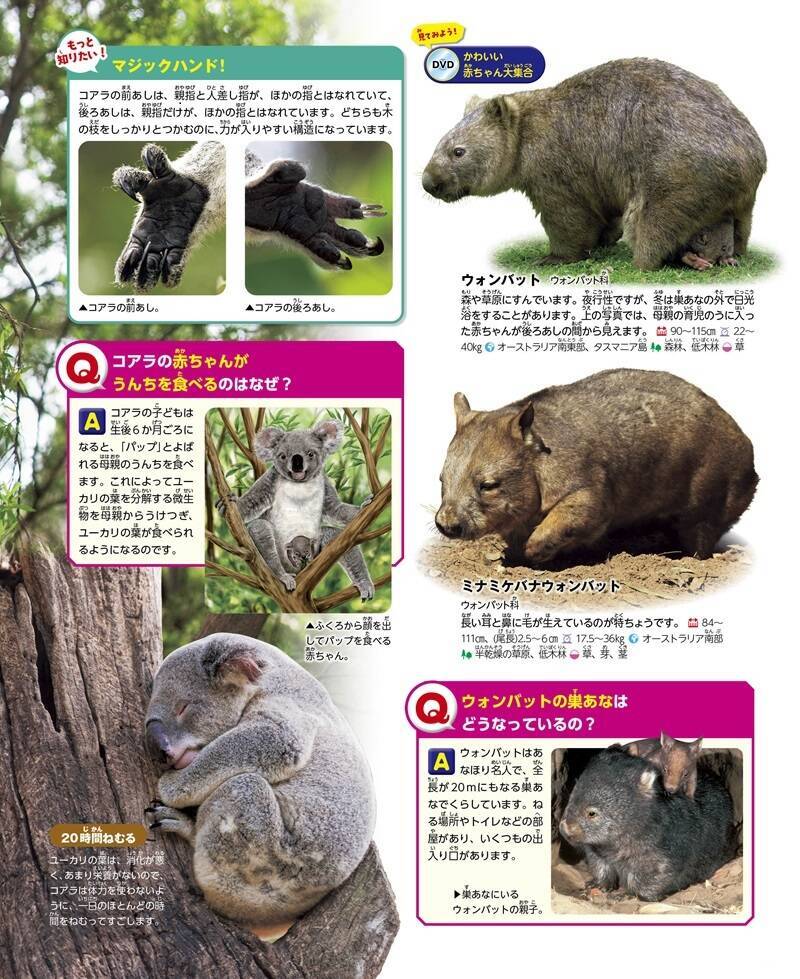【究極の新図鑑】大迫力の生態写真とイラストで生きものに興味がわく！　動く図鑑MOVE「動物」