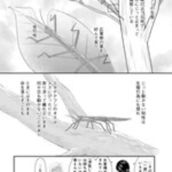 「不倫夫、整形をやめられない女性……すべては前世動物のせい？『もしもアイツの前世が虫だったら』」の画像