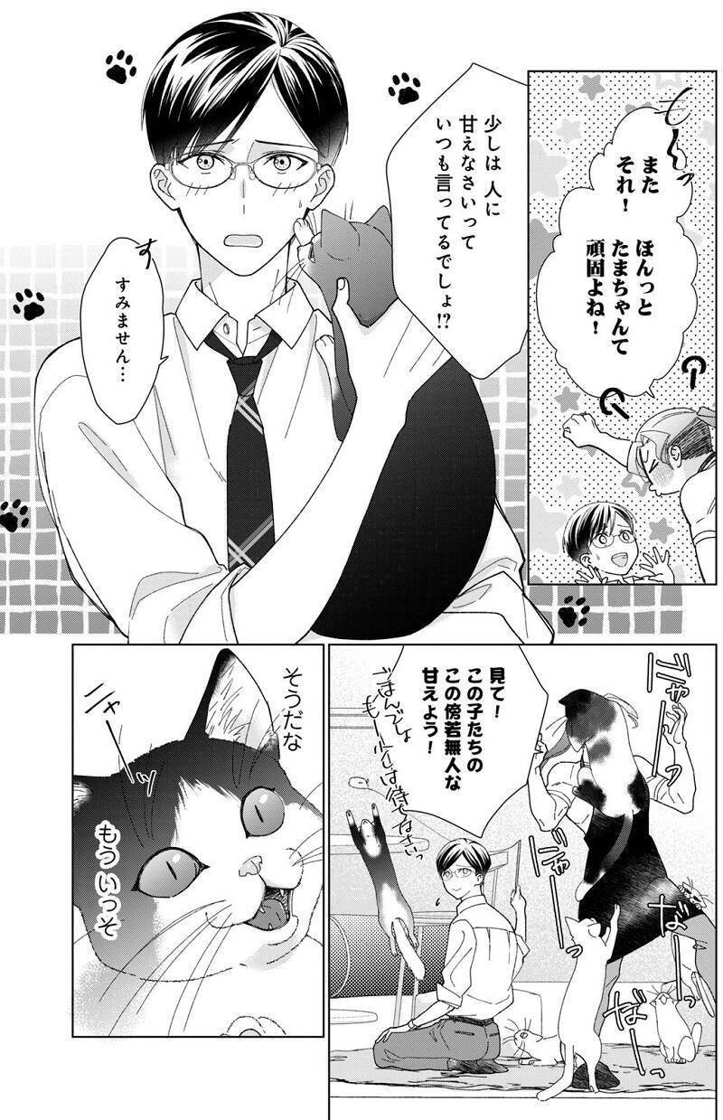 今日からあんたは俺の猫 真面目男子 年下小説家から飼い猫として溺愛されてます 22年8月27日 エキサイトニュース