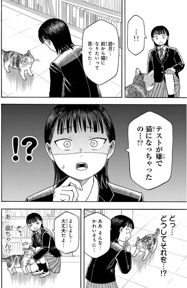 「猫最高!!　悩める私は猫になる!!　自由と悩みが交錯する青春コメディ『遊月は猫になる』」の画像