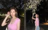 「少女時代 ソヒョン、桜のようなお花見コーデ…夜でも光を放つ美貌」の画像1