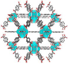 北川さん開発、PFAS除去期待　ノーベル賞授賞理由にも