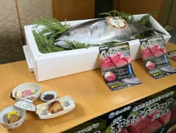 京都の「都まぐろ」ブランド化　知名度上げ漁業や観光振興狙い