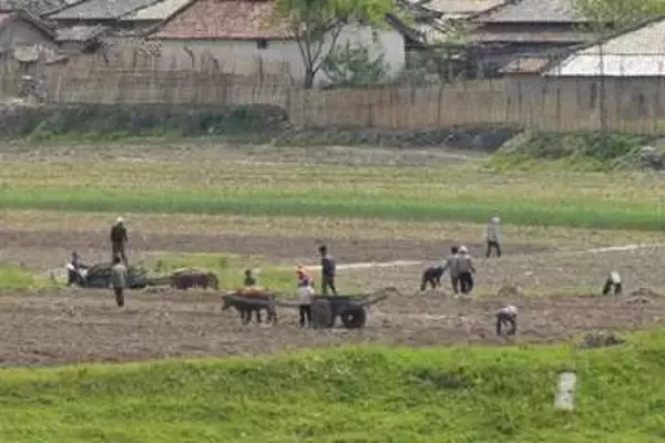 北朝鮮で干ばつ警報　15年以降で降水量最少