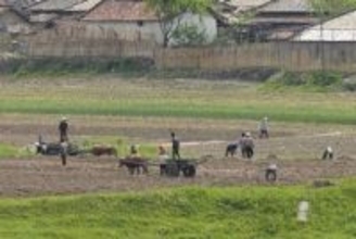 北朝鮮で干ばつ警報　15年以降で降水量最少