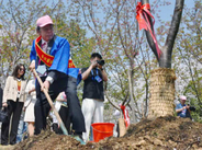 中国の桜植樹式に日本側招待なし　無錫、関係悪化影響か