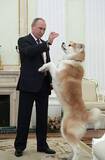 「【独自】プーチン大統領の秋田犬死ぬ　県が贈呈の「ゆめ」、昨年高齢で」の画像1