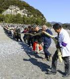 「神の恵み求め、三重で大綱引く　世界遺産・熊野の花窟神社」の画像1