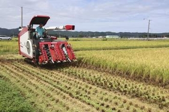 コメ、16道県で2～4割下落　JA「概算金」、一部で提示遅れ