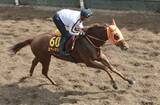 「スターアニスが順調な仕上がり　競馬のオークス追い切り」の画像1
