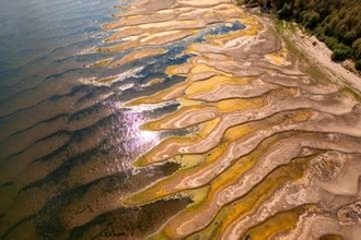 ルーマニアで原発停止の恐れ　猛暑で冷却水不足
