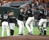 「プロ野球交流戦開幕、巨人は黒星　西武がヤクルトに競り勝つ」の画像1