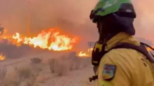 スペイン山火事で11人死亡　記録的熱波、住民ら避難