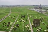 「田んぼに「マイクラ」登場　世界最大級のアート、埼玉」の画像1