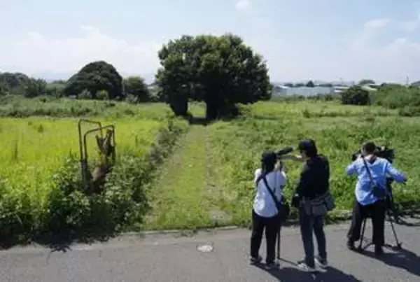 男子高校生、死因は脳挫傷　相模原、凶器使用の可能性