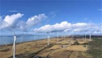 鳥の接近検知し風車停止、幌延町　システム初導入、効果検証