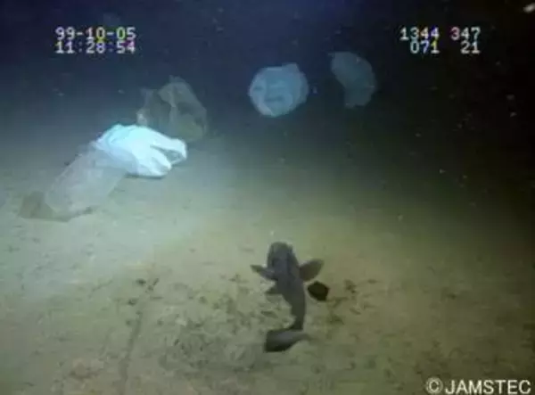 AIで深海プラスチックごみ検出　高速処理、即時監視の活用に期待