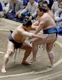 「経験の差見せつけた若隆景の速攻　九重審判長もうなる全開エンジン」の画像1