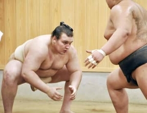 綱とり安青錦は東大関　熱海新小結、藤凌ら新入幕