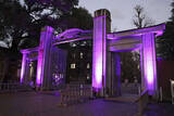 「東大正門、紫色にライトアップ　女性への暴力なくす運動に参加」の画像1
