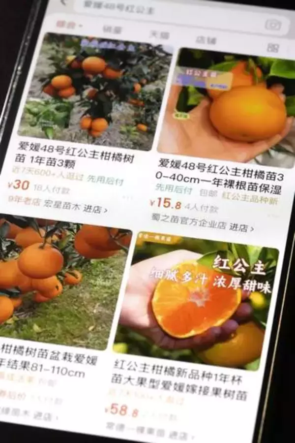 農作物50品種が流出可能性　中韓でネット販売か、農水省調査