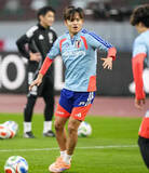 「日本、18日にボリビア戦　年内最後の国際親善試合」の画像1