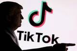 「TikTok売却で100億ドル　米政権、異例の仲介手数料報酬」の画像1