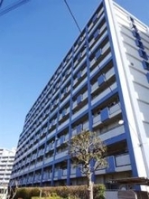 5年前釈放の夫を殺人罪で起訴　東京地検立川支部、異例