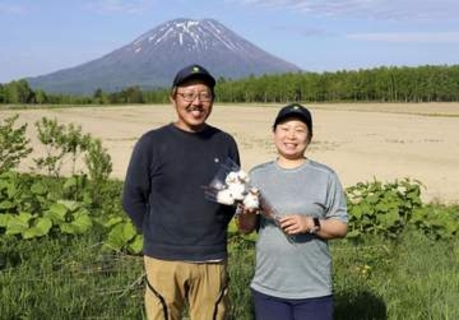 日本最北でコットン栽培成功、新ブランドに　北海道・ニセコ、創業100年の農園が奮闘